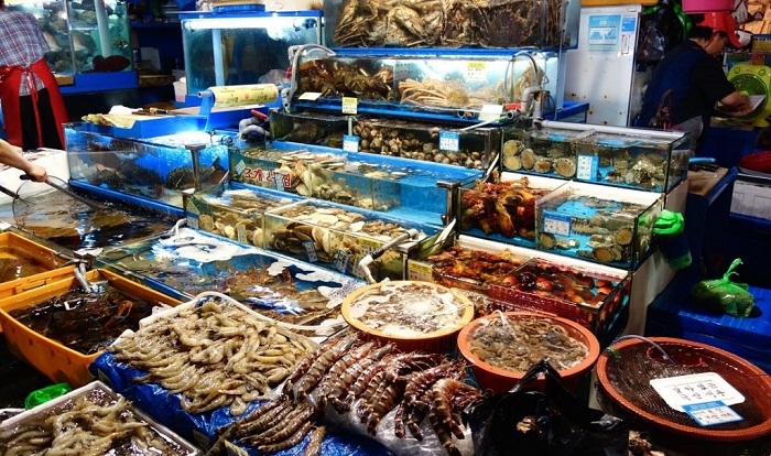 Chia sẻ những địa điểm chợ hải sản tại Nha Trang